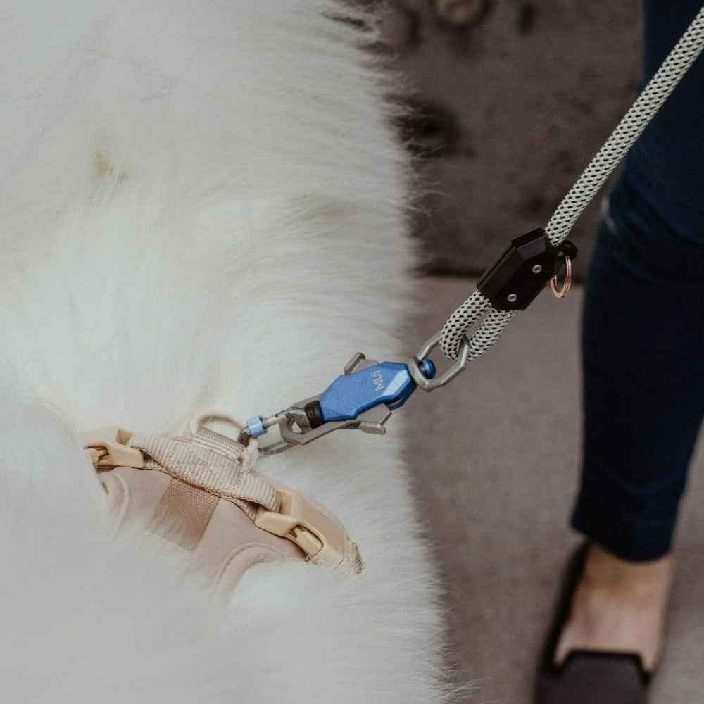 Patented Magnetic Dog Leash - American Bark Bliss