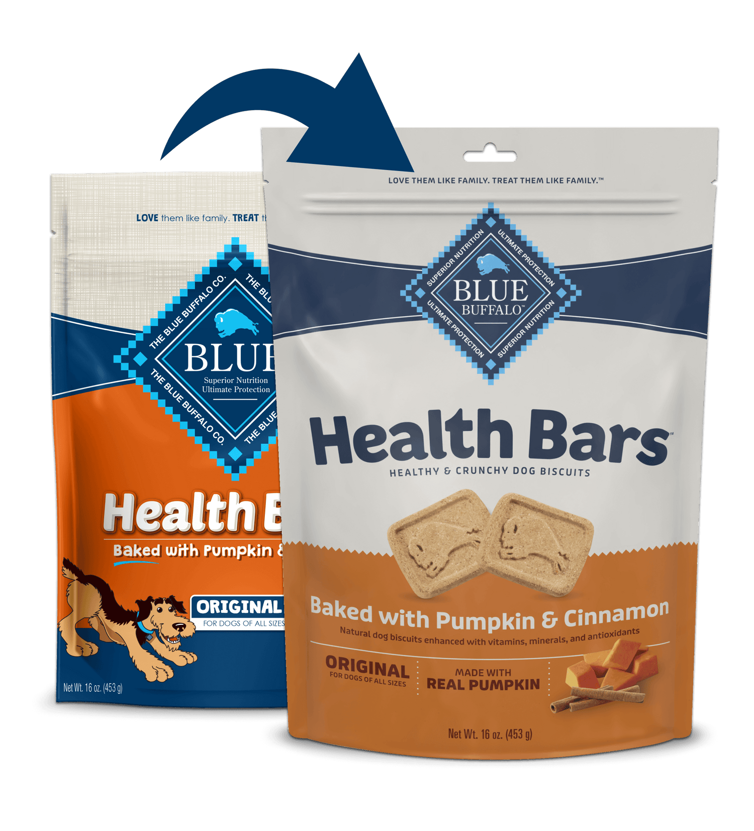 Blue Buffalo Blue Health Bar Crunchy Dog Biscuits Baked with Pumpkin and Cinnamon (16oz) by The Family Pet