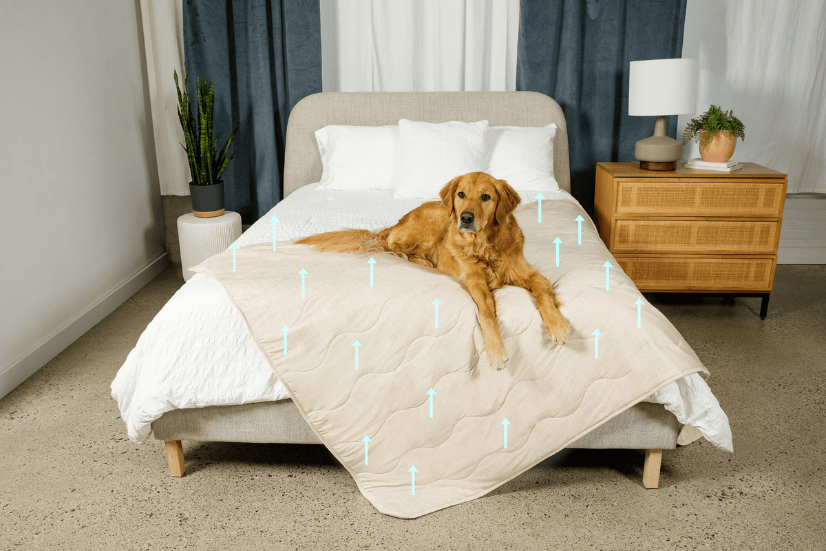 Cooling Blanket for Dogs - PupChill™ - American Bark Bliss