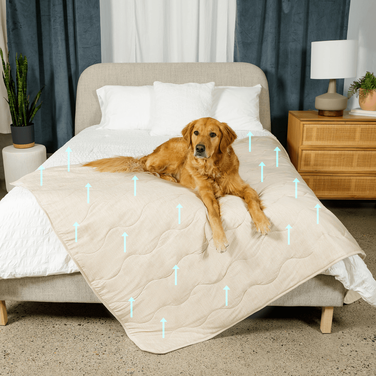Cooling Blanket for Dogs - PupChill™ - American Bark Bliss