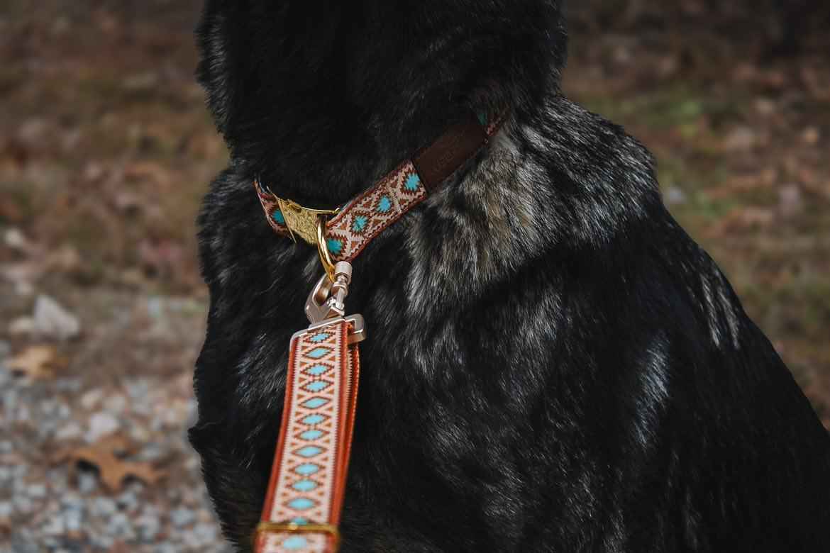 Southwest Spirit Leash - American Bark Bliss