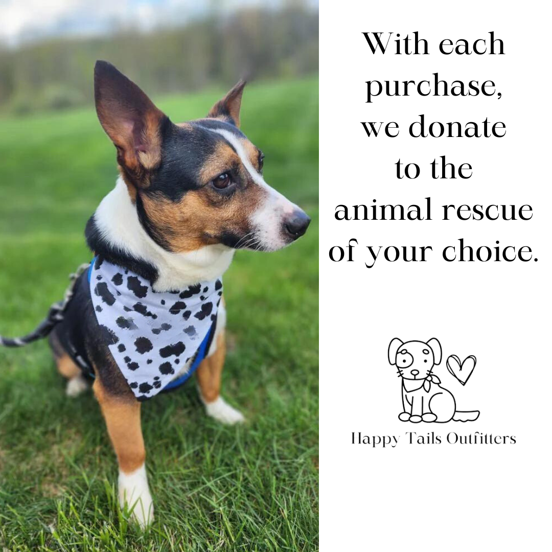 Adopt Me I'm A Foster Tie Dye Dog Bandana