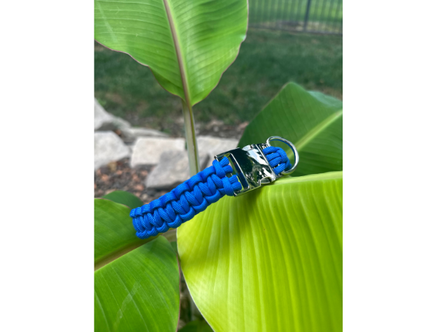 Cobra Braid in Royal Blue - Handmade Dog Collar - American Bark Bliss