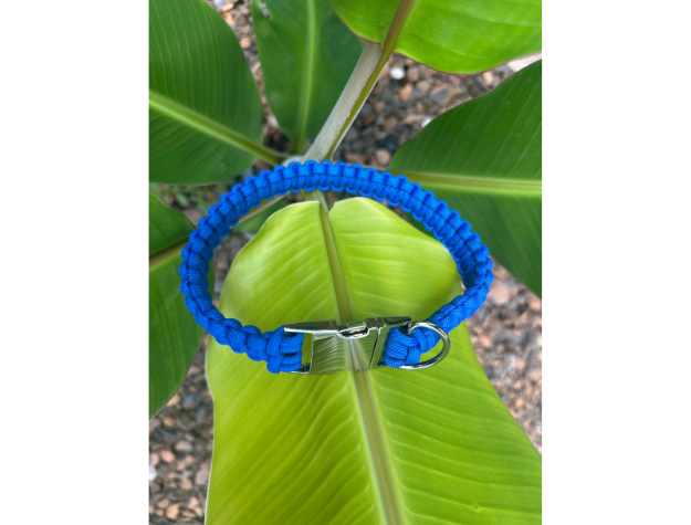 Cobra Braid in Royal Blue - Handmade Dog Collar - American Bark Bliss