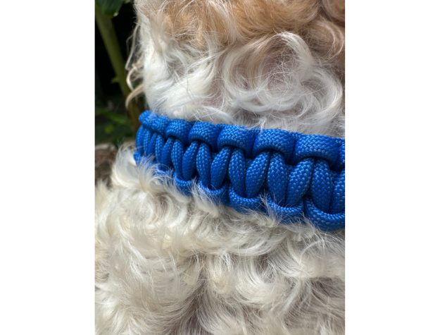 Cobra Braid in Royal Blue - Handmade Dog Collar - American Bark Bliss