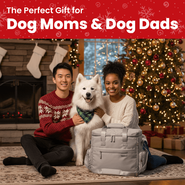 Doggy Adventure Travel Bag