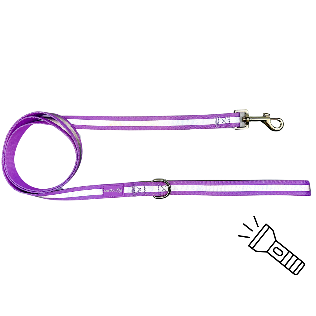 Shine Bright - Amethyst Leash - American Bark Bliss