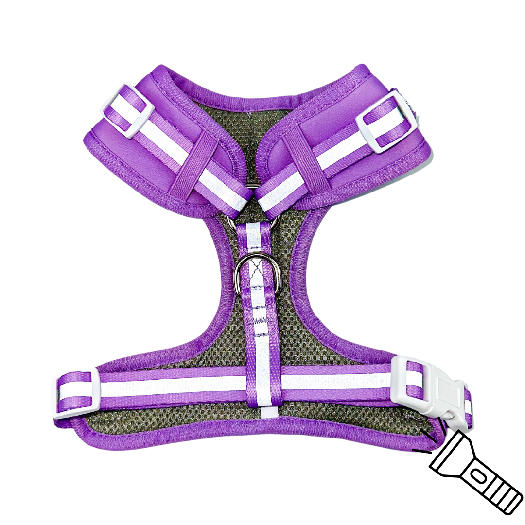 Shine Bright - Amethyst Adjustable Harness - American Bark Bliss