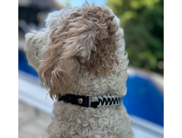 Fishtail Hand Braided Dog Collar in Black & Smoke - American Bark Bliss