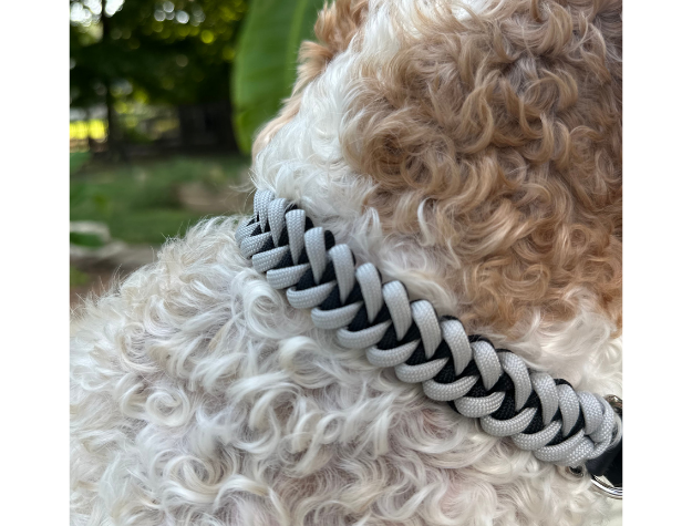 Fishtail Hand Braided Dog Collar in Black & Smoke - American Bark Bliss