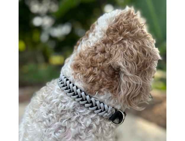 Fishtail Hand Braided Dog Collar in Black & Smoke - American Bark Bliss