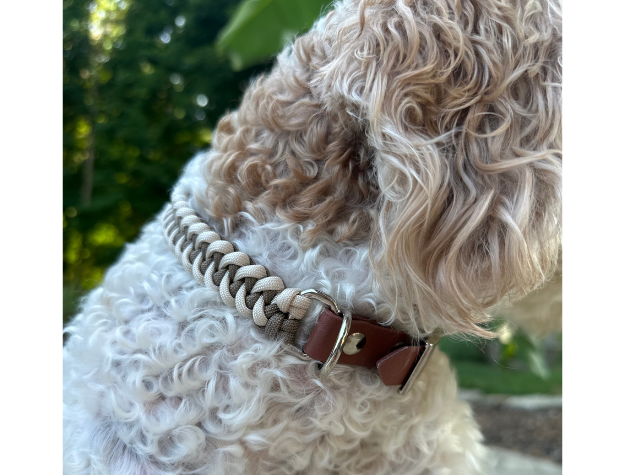 Fishtail Hand Braided Dog Collar in Tan & Cream - American Bark Bliss