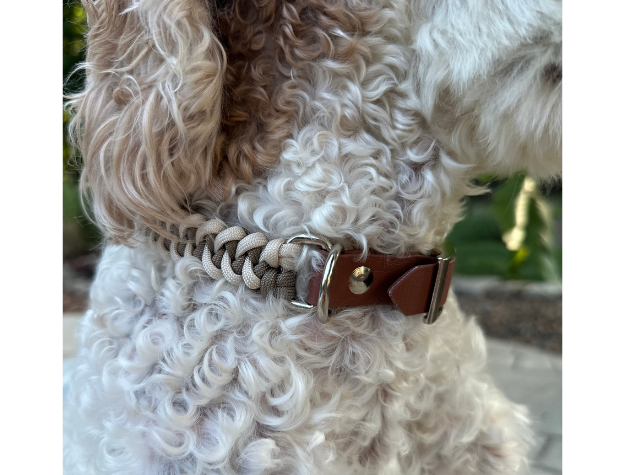 Fishtail Hand Braided Dog Collar in Tan & Cream - American Bark Bliss