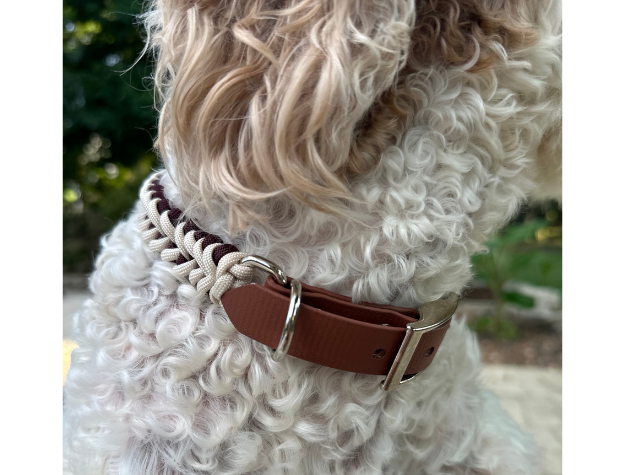 Fishtail Hand Braided Dog Collar in Burgundy & Cream - American Bark Bliss