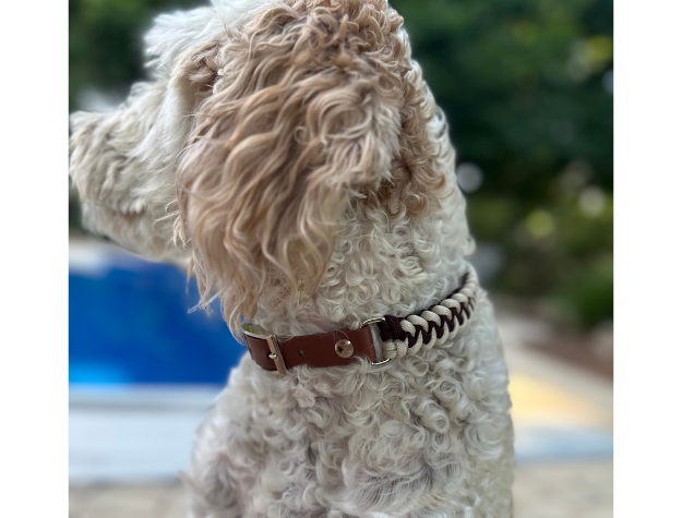 Fishtail Hand Braided Dog Collar in Burgundy & Cream - American Bark Bliss