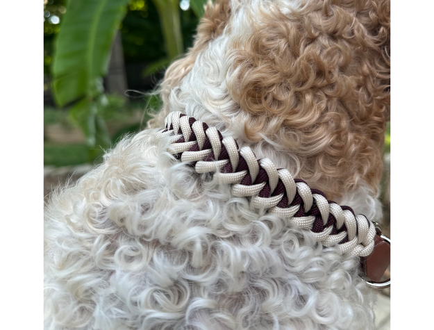 Fishtail Hand Braided Dog Collar in Burgundy & Cream - American Bark Bliss