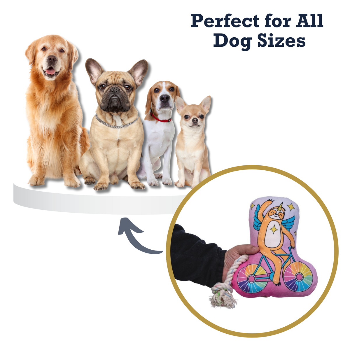 Slow Biker Plush Dog Toy – with Squeaker & Crinkle Paper for Fun Play - American Bark Bliss