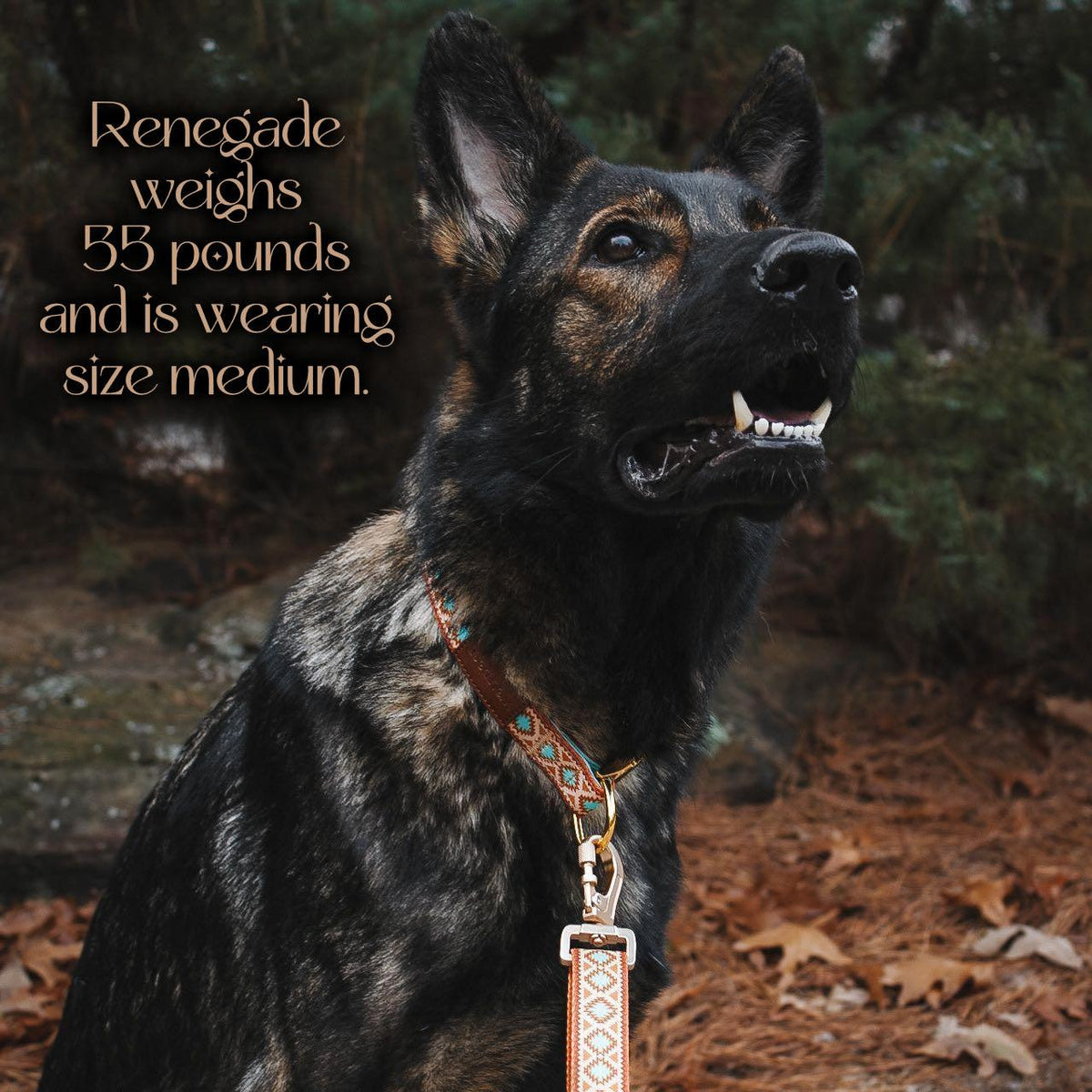 Southwest Spirit Collar