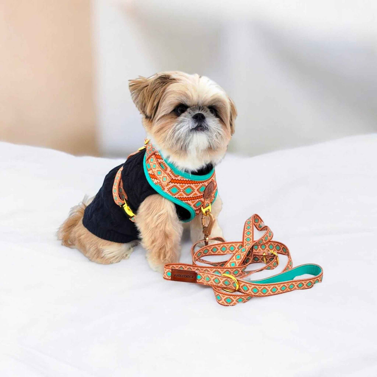 Southwest Spirit Leash - American Bark Bliss