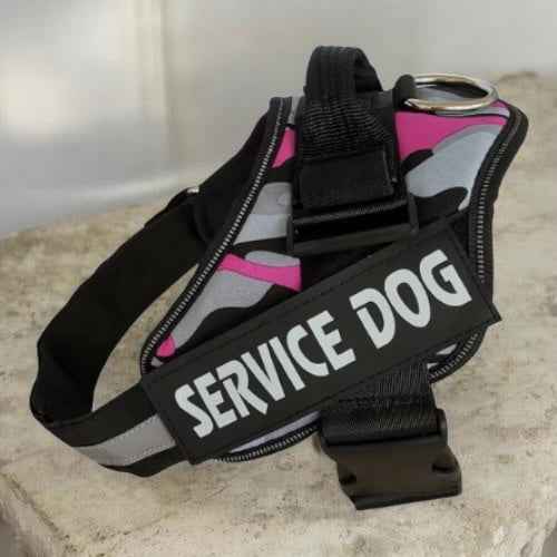 Easy On, No-Pull Dog Harness