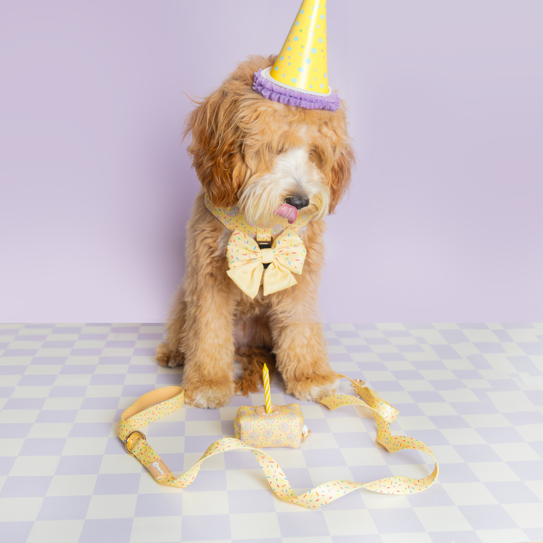 Ever So Sweet Step-in Harness - American Bark Bliss
