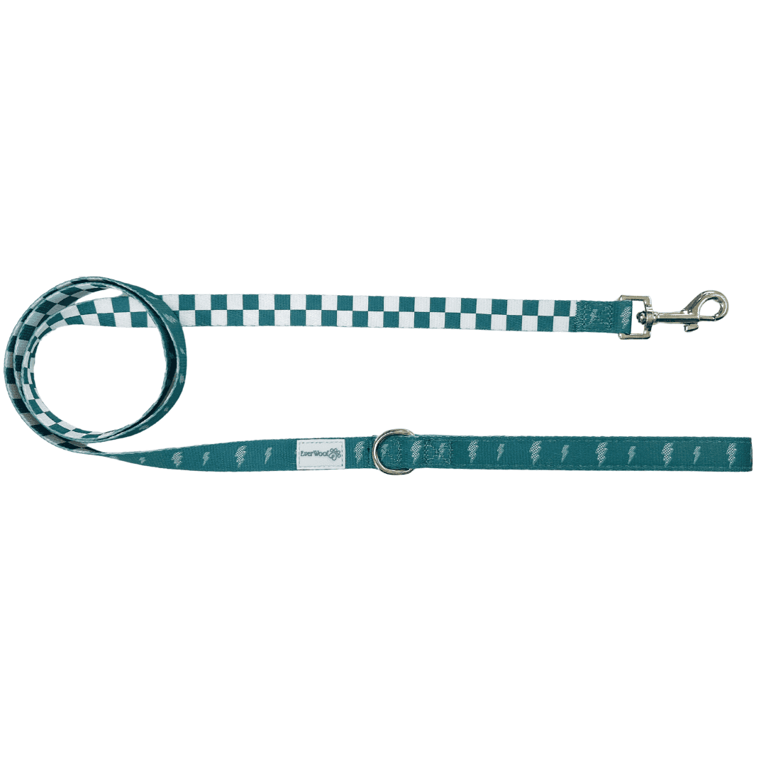 Thunderstruck Leash - American Bark Bliss