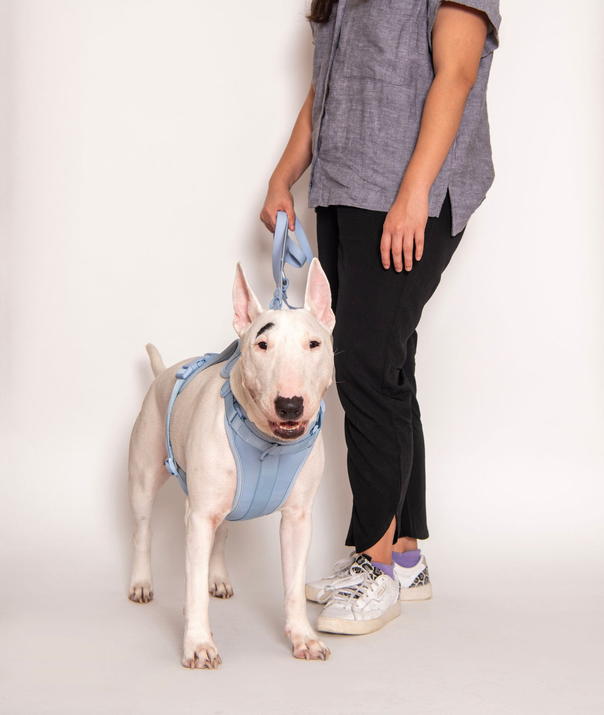 Adjustable Dog Harness for Comfortable Walks - American Bark Bliss