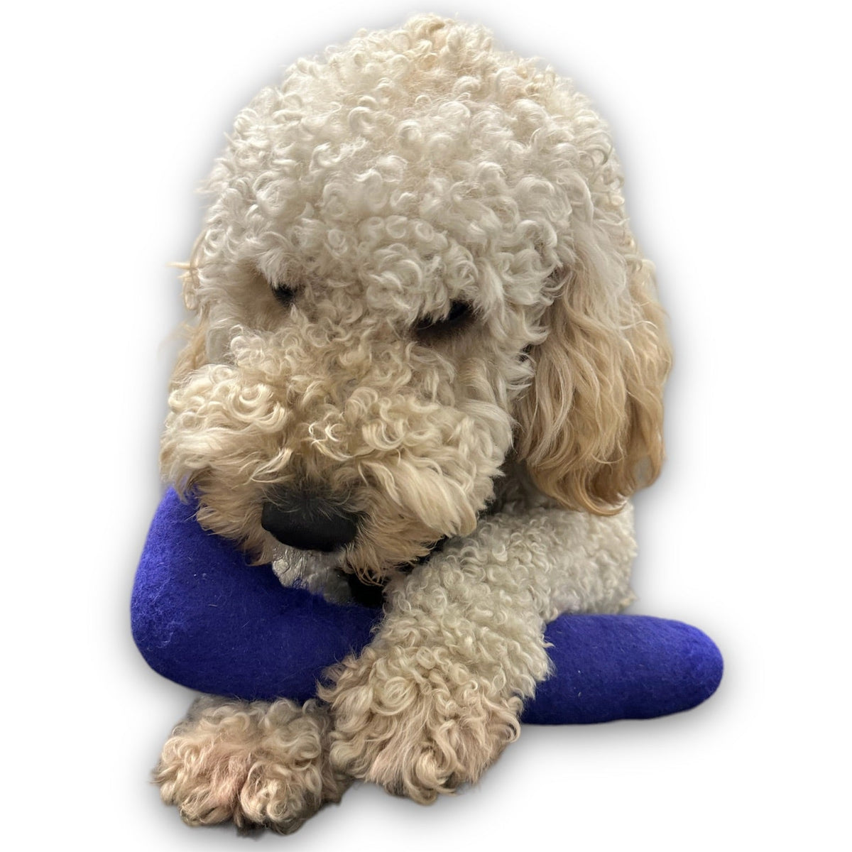 Durable Felt Dog Toy for Exciting Play - American Bark Bliss