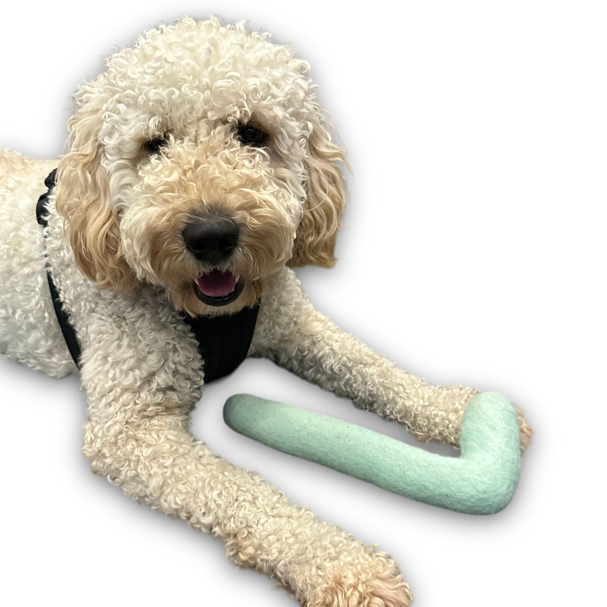 Durable Felt Dog Toy for Exciting Play - American Bark Bliss