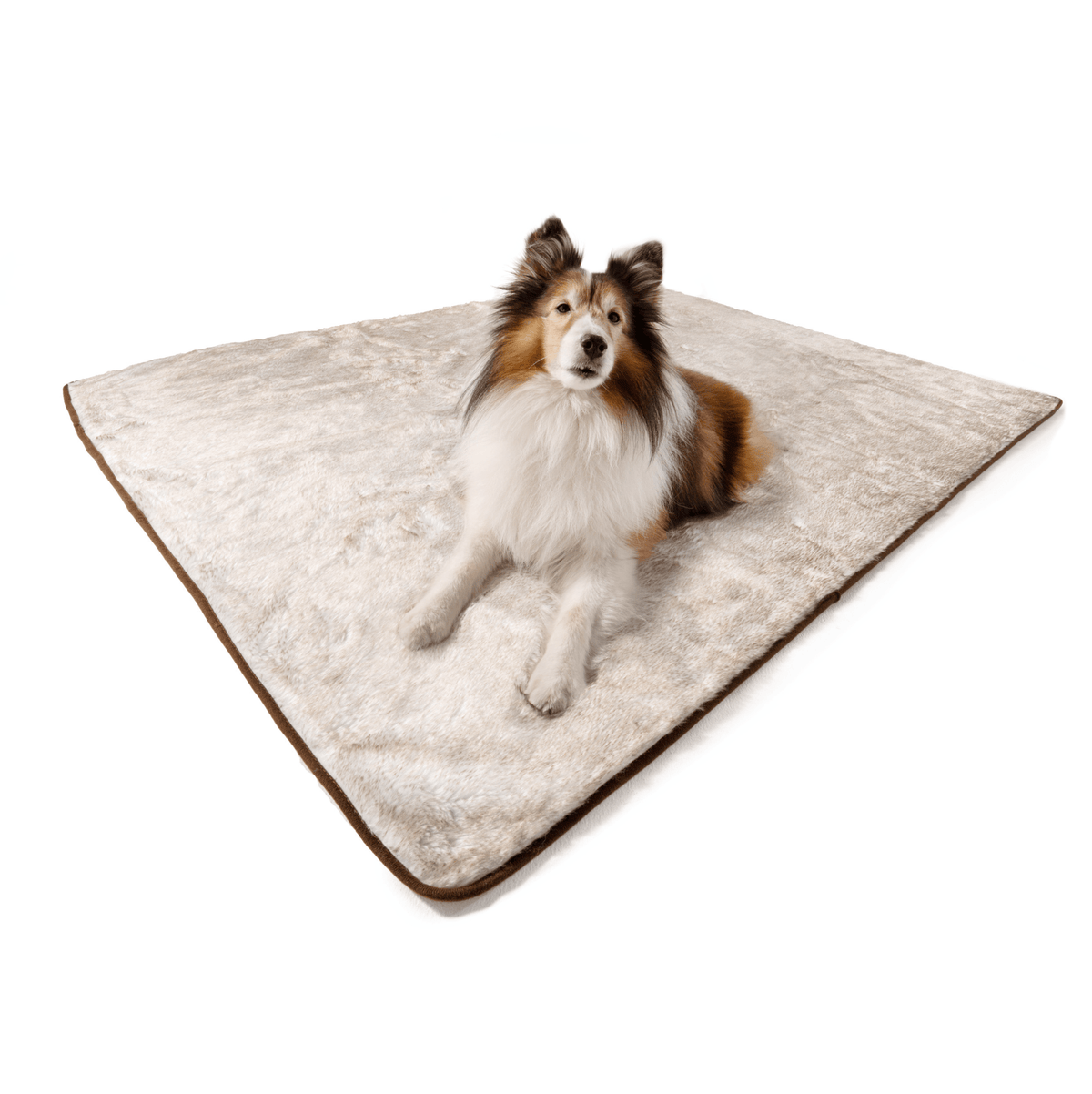 PupProtector Waterproof Dog Blanket - White Brown Accents - American Bark Bliss