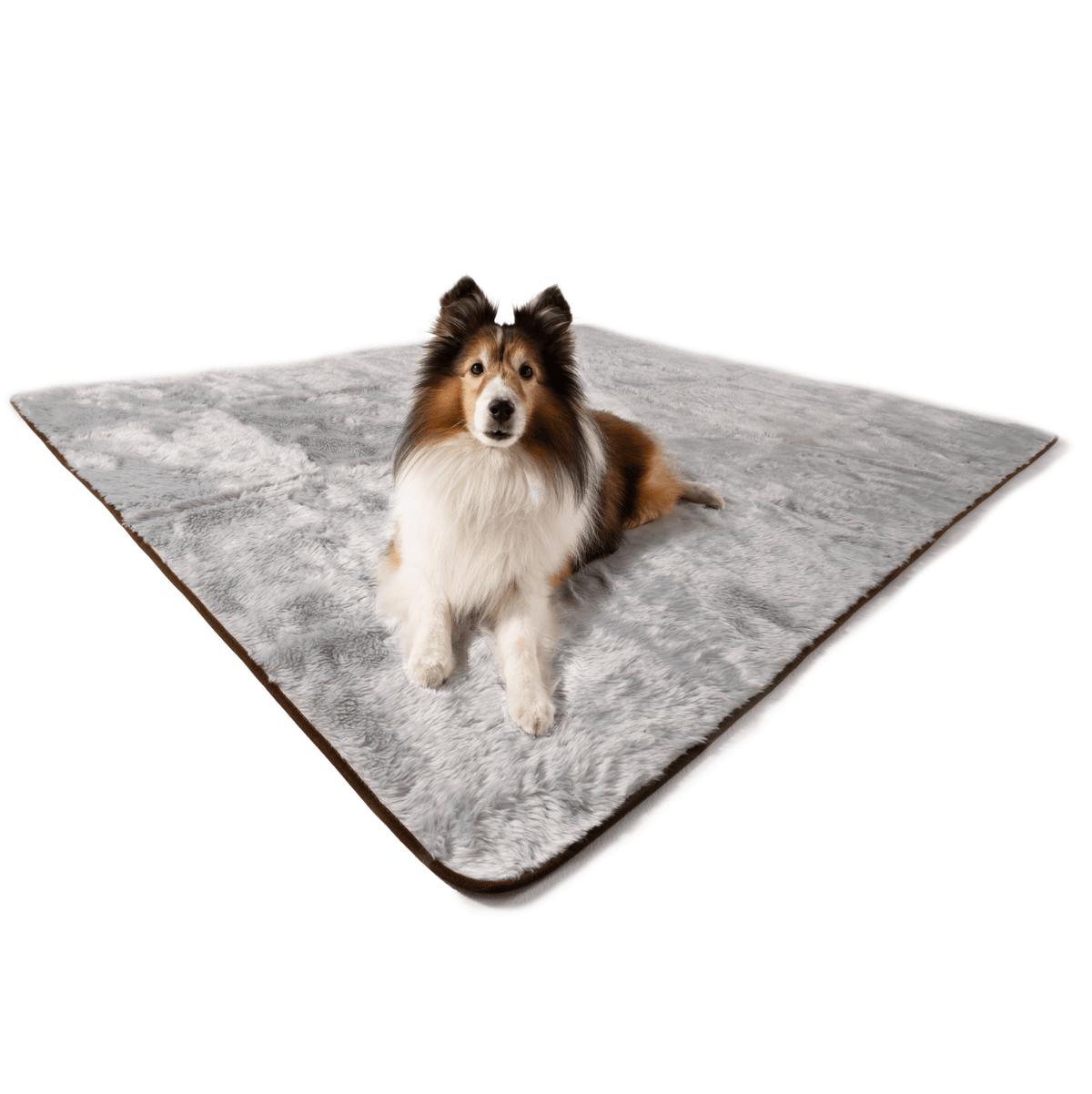 Short Fur Waterproof Throw Blanket for Pets - American Bark Bliss