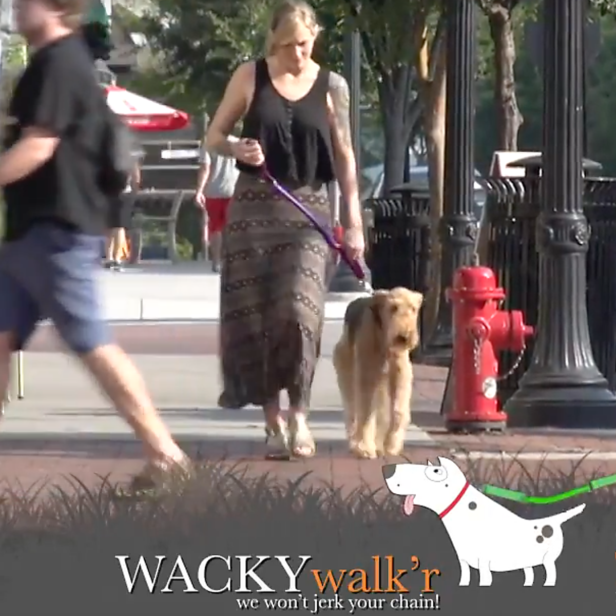 Shorter No Pull Leash - Urban Walk'r - American Bark Bliss