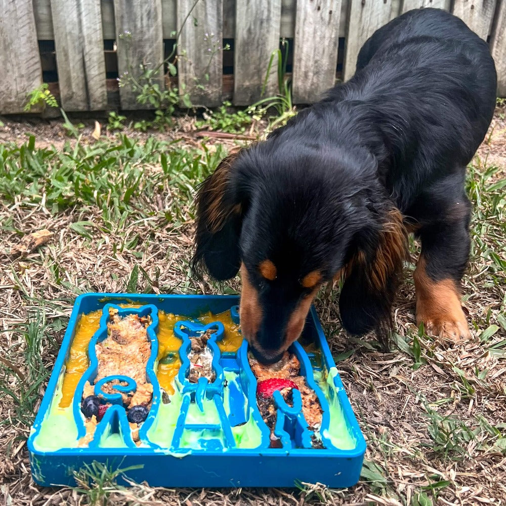 Waiting Dogs eTray - Shallow Slow Feeder Bowl for Enrichment | USA Made - American Bark Bliss