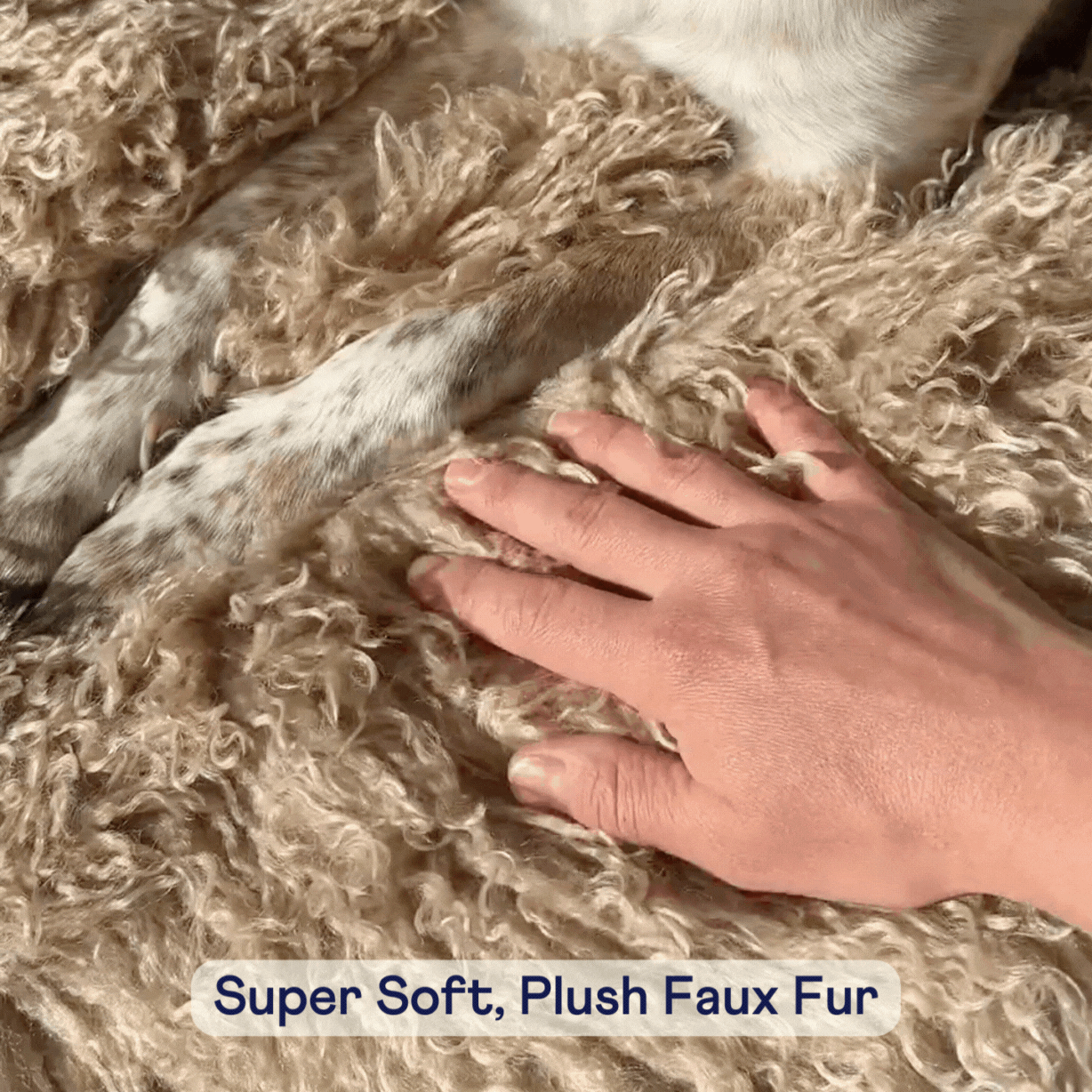 Orthopedic Faux Fur Dog Bed - Plush Sheep Tan - American Bark Bliss