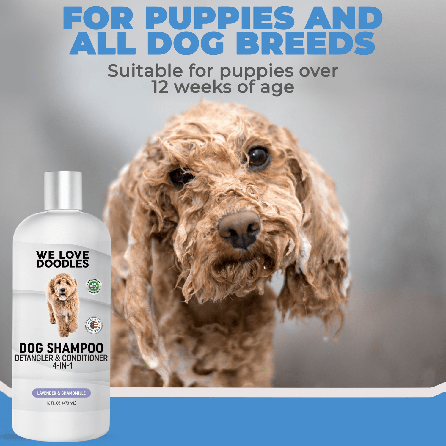Ultimate Dog Grooming Pack – Complete At-Home Grooming Kit