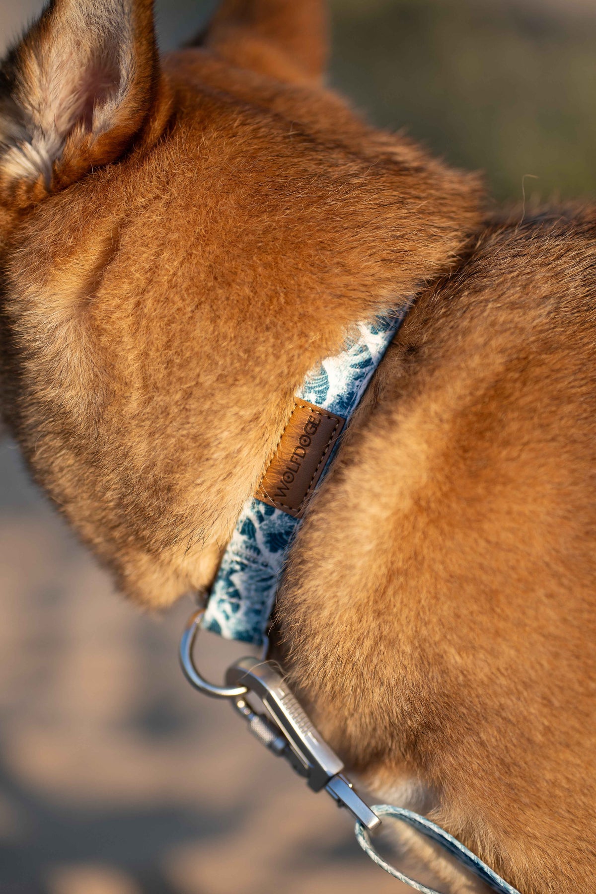 Great Wave Collar - American Bark Bliss