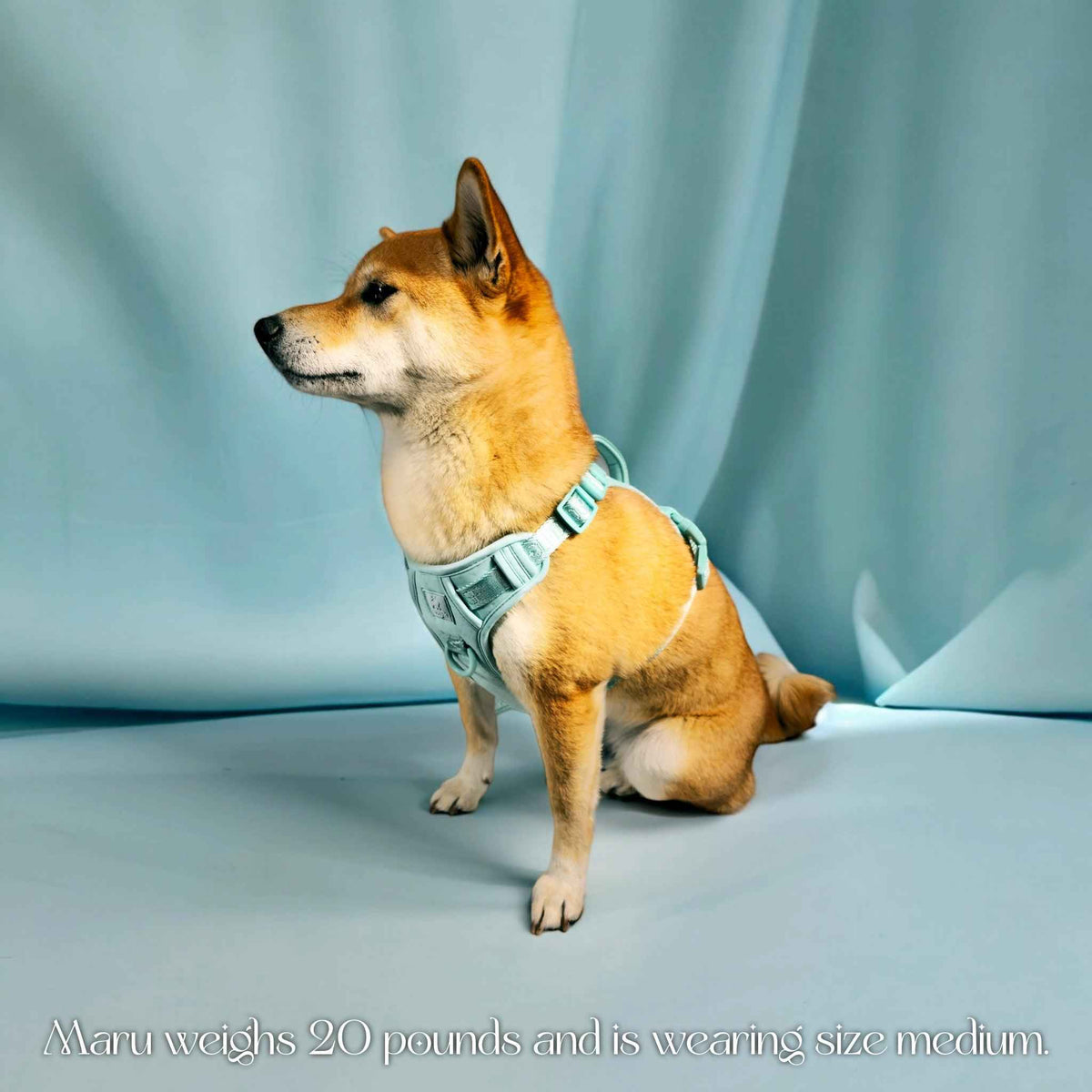 Wolfdoge Signature Harness - American Bark Bliss