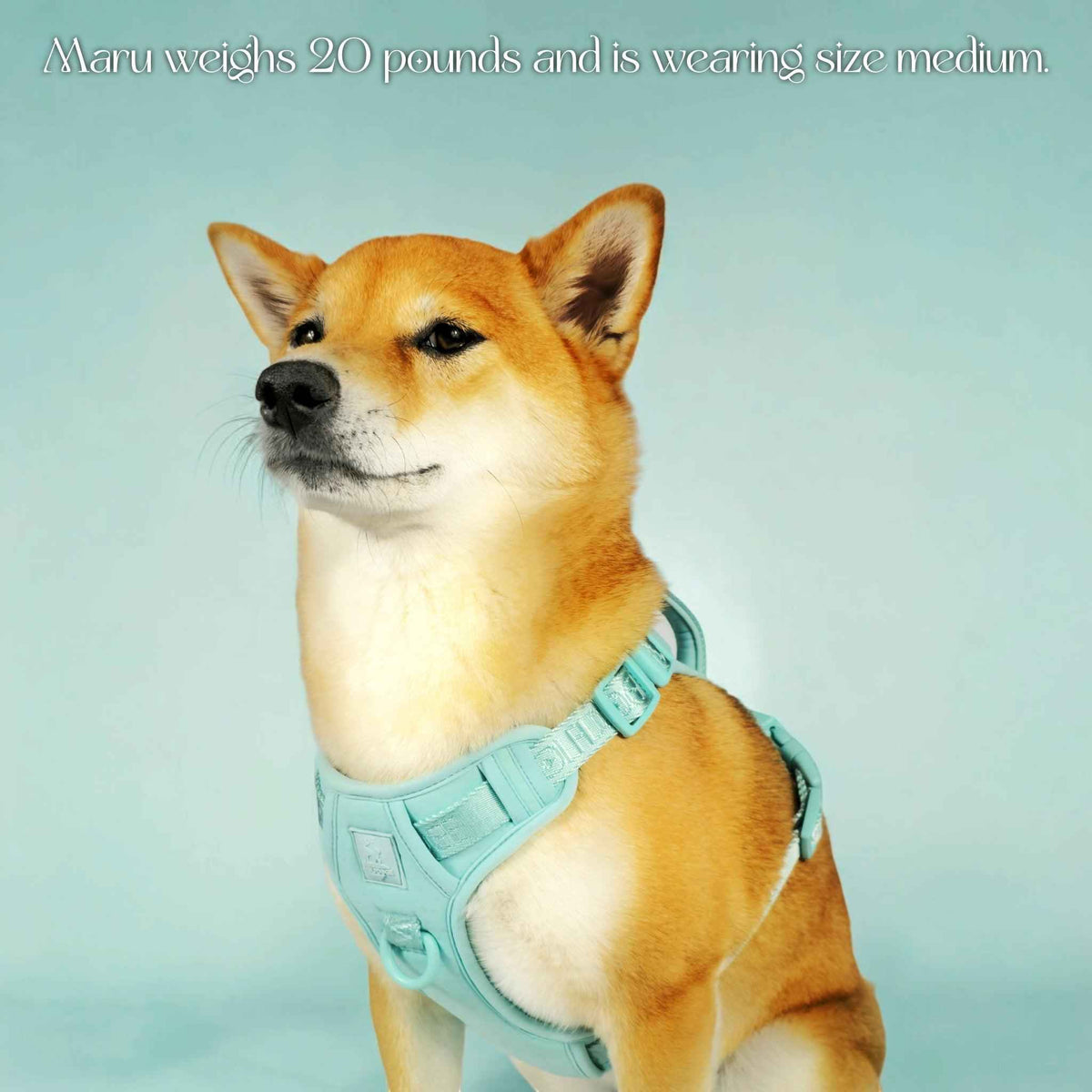 Wolfdoge Signature Harness - American Bark Bliss