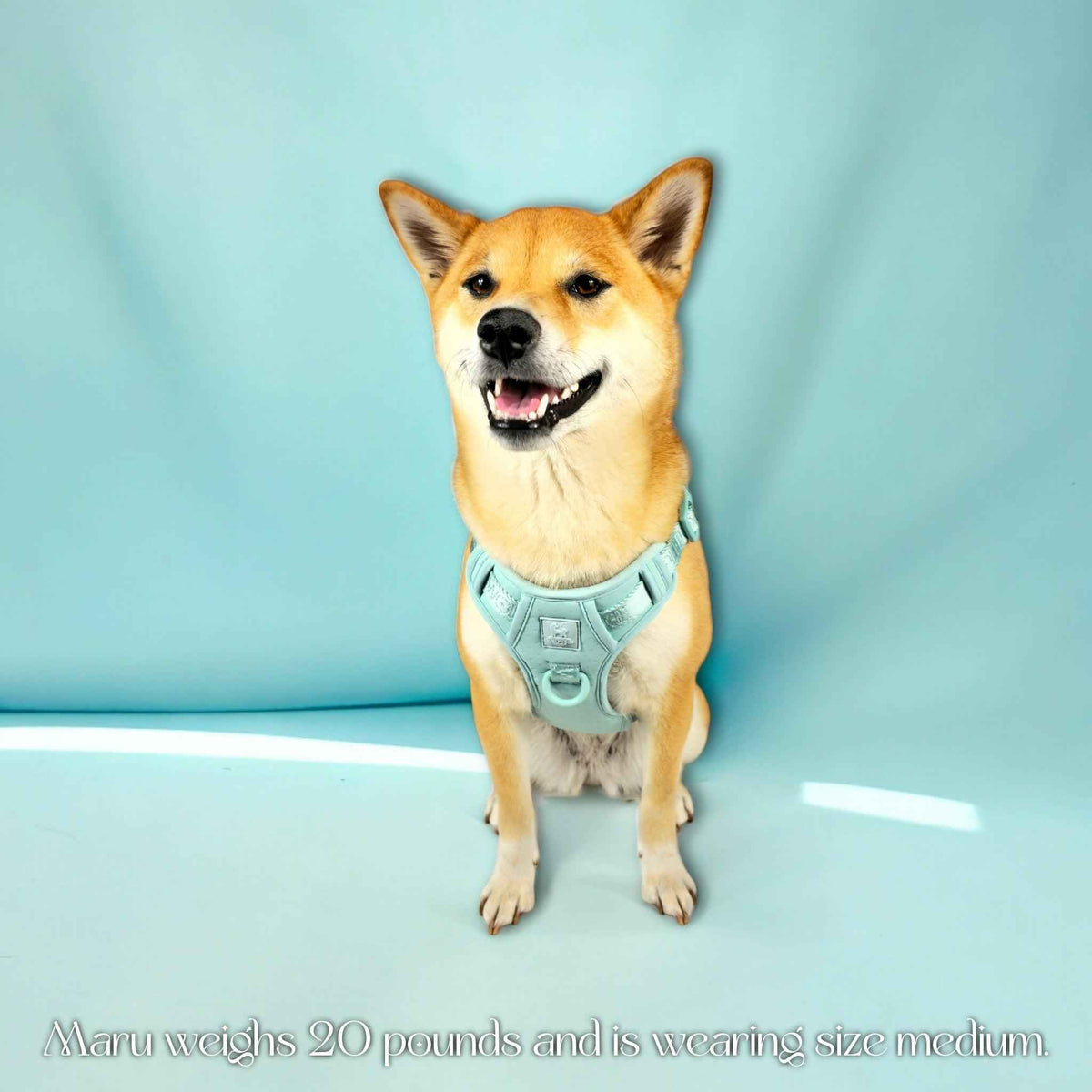 Wolfdoge Signature Harness - American Bark Bliss