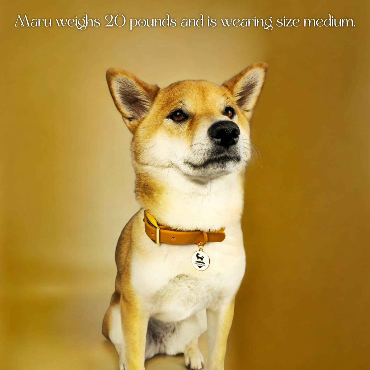 Waterproof Collar - American Bark Bliss