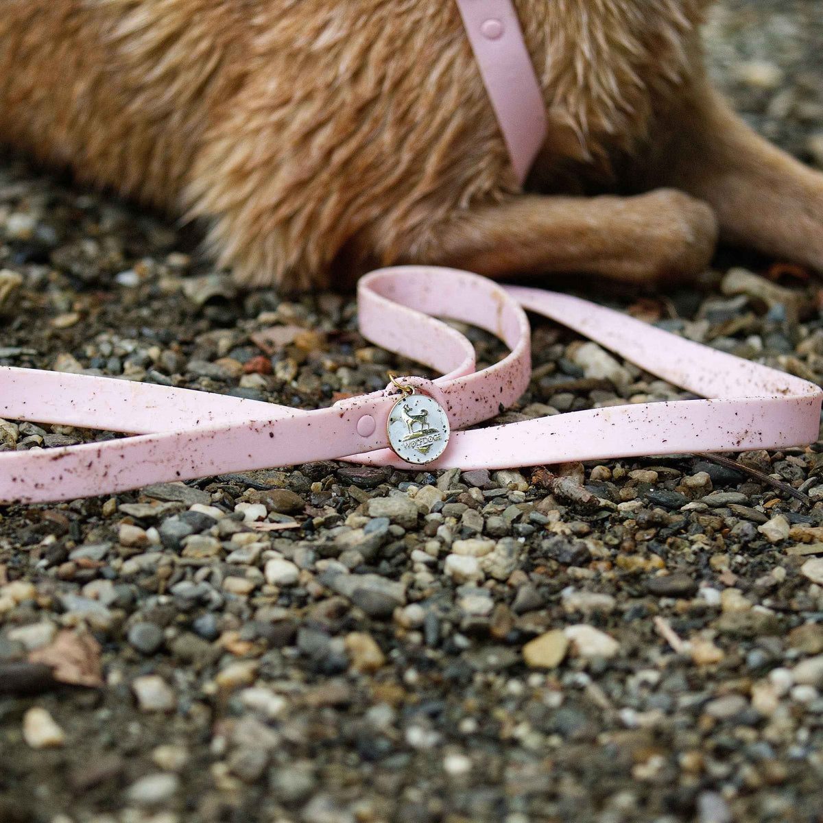 Waterproof Leash - American Bark Bliss