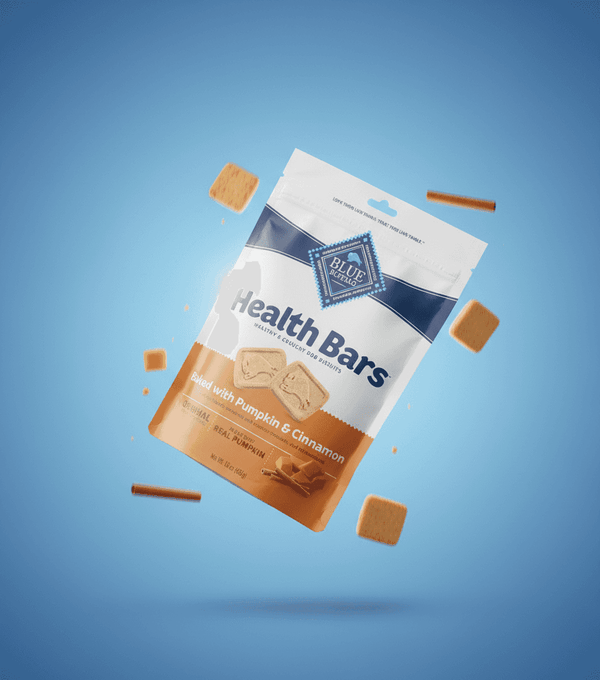 Pumpkin Cinnamon Dog Treats