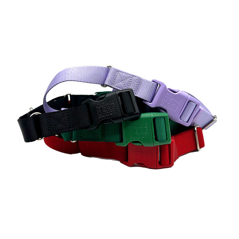Martingale Dog Collar for Secure and Gentle Control - American Bark Bliss