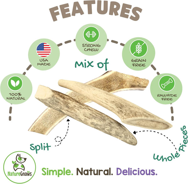 USA Deer Antlers for Dogs 4-7" (3 Count) - Mix of Split and Whole Pieces - Long Lasting for Small and Medium Breeds - Natural Dog Chew Bones