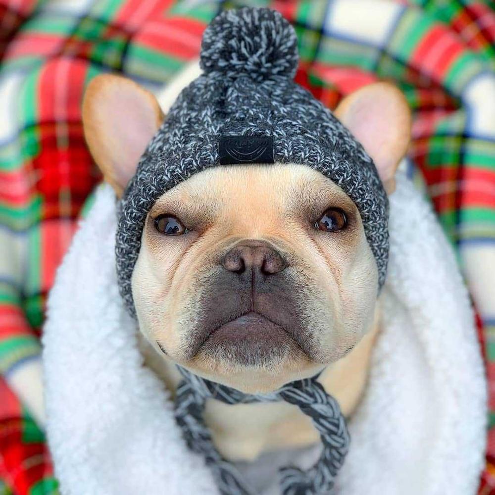 Knitted Pet Hats with Fluffy Ball for Winter - American Bark Bliss