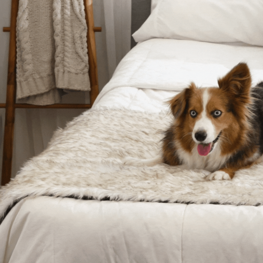 Dog Bed Runner Waterproof - PupProtector™ - American Bark Bliss