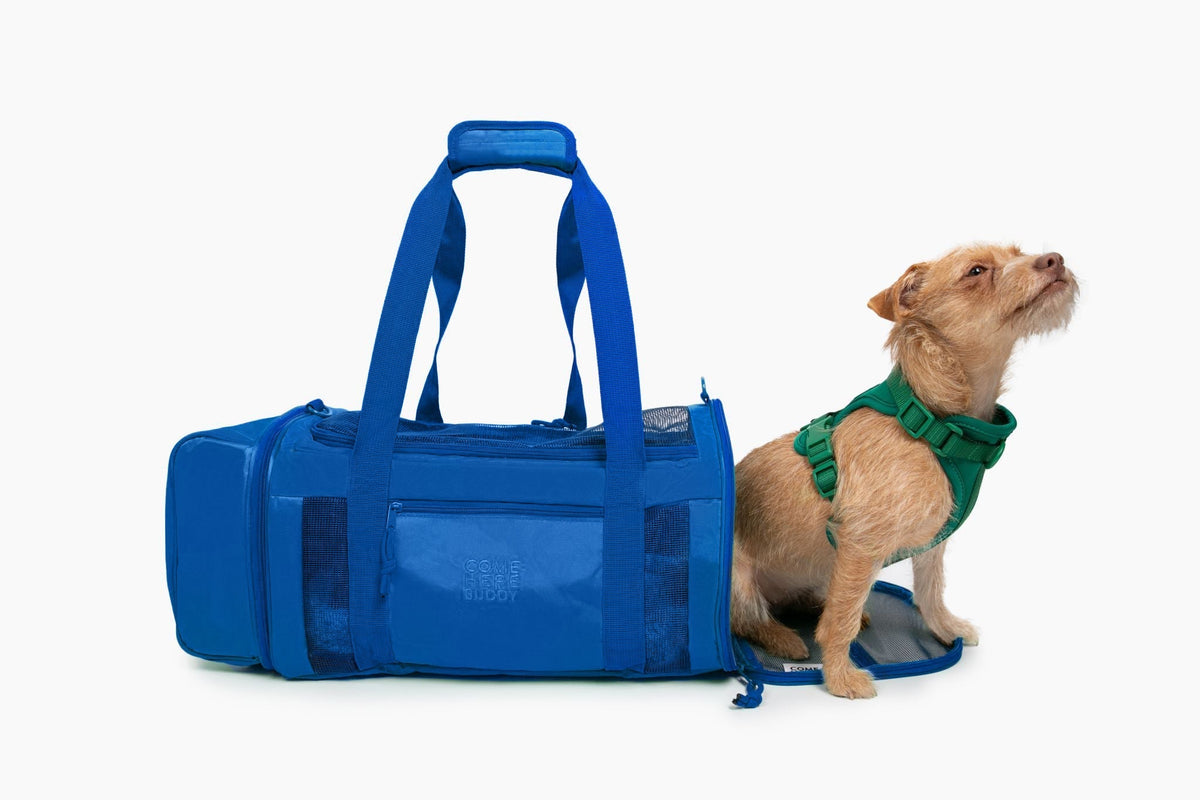 Airline-Compliant Pet Carrier for Convenient Travel - American Bark Bliss