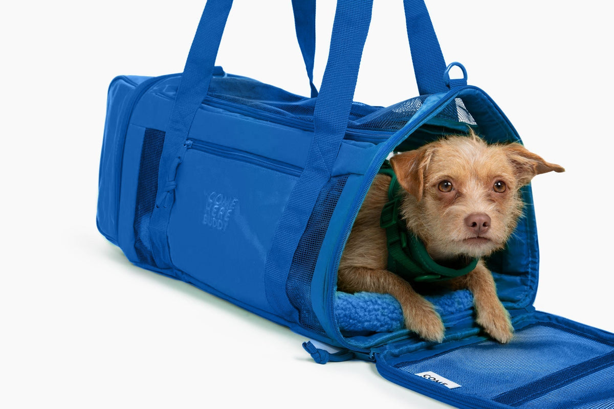 Airline-Compliant Pet Carrier for Convenient Travel - American Bark Bliss