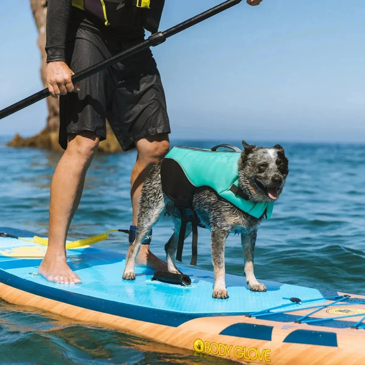 Body Glove Neoprene Pet Life Jacket - American Bark Bliss