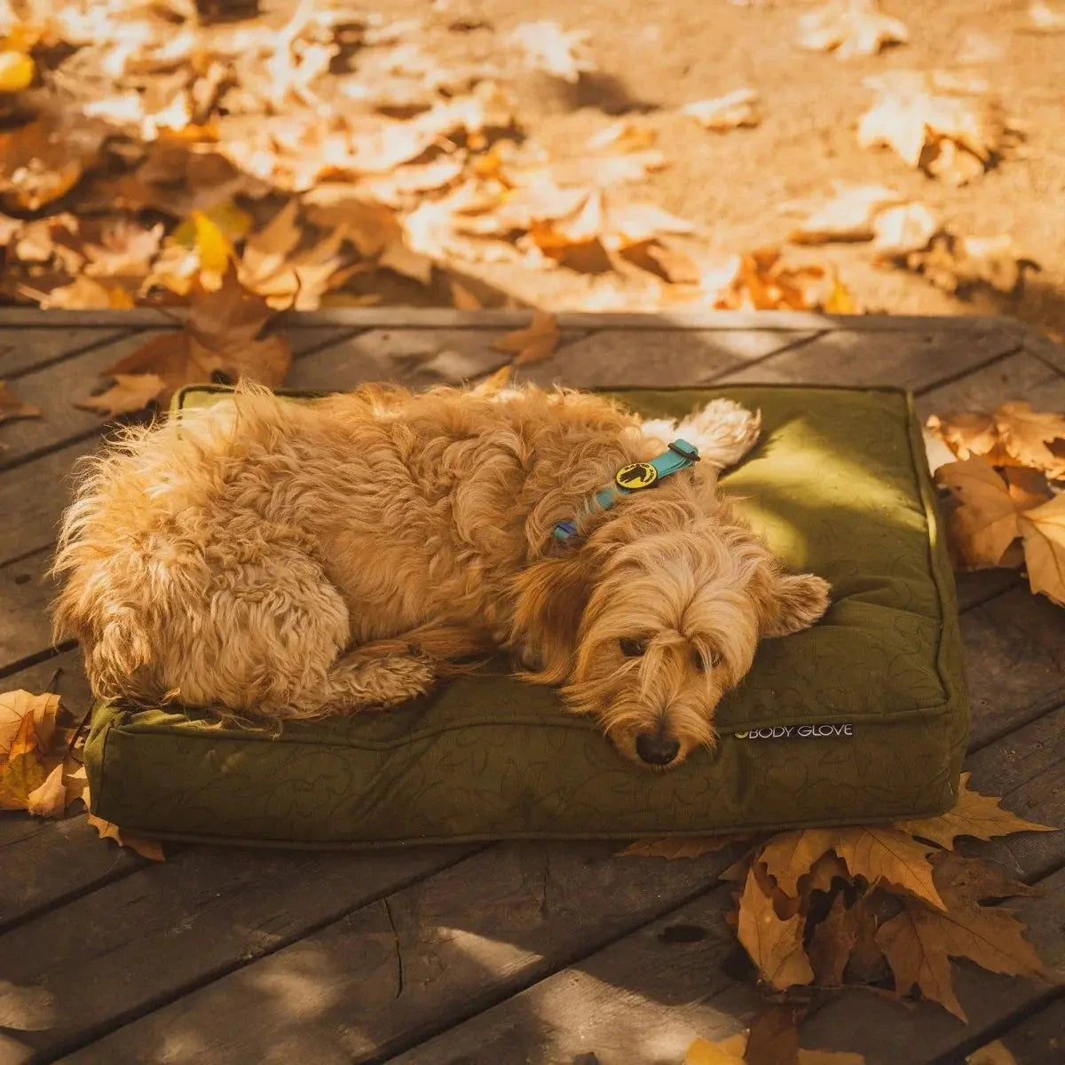 Body Glove Paintflower Pet Napper Dog Bed - American Bark Bliss